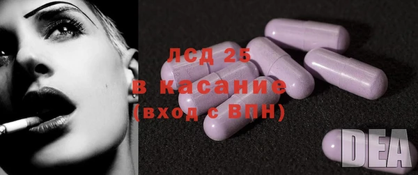 тгк Бородино
