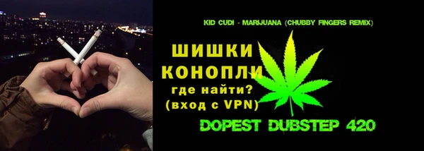 тгк Бородино