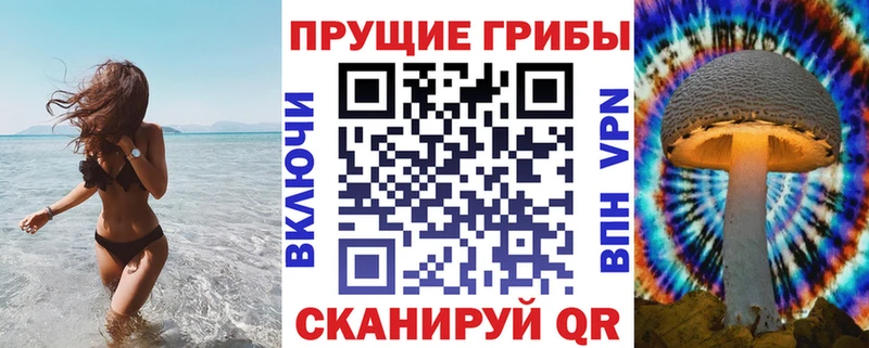 как найти закладки Рубцовск Галлюциногенные грибы GOLDEN TEACHER